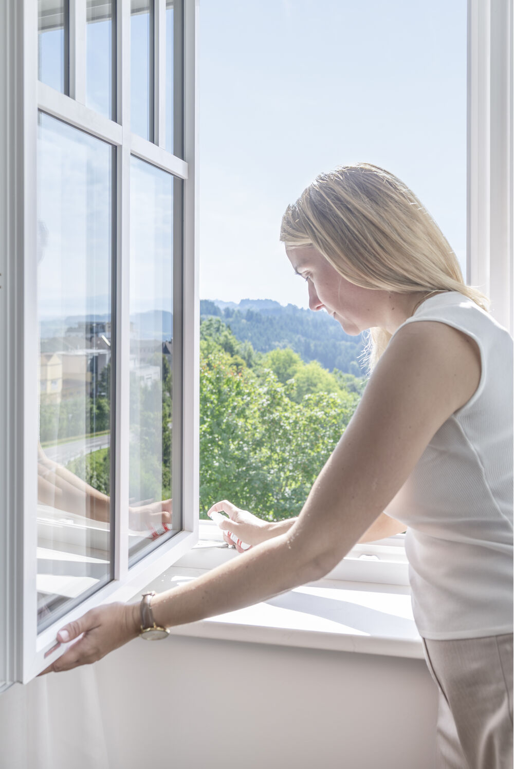Internorm Fenster kaufen in der Ortenau bei BFP